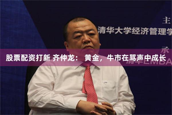 股票配资打新 齐仲龙： 黄金，牛市在骂声中成长