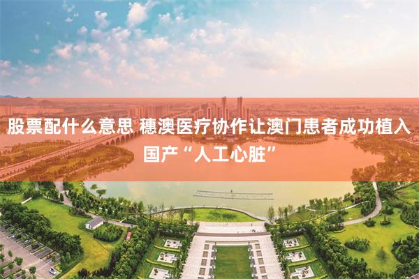 股票配什么意思 穗澳医疗协作让澳门患者成功植入国产“人工心脏”
