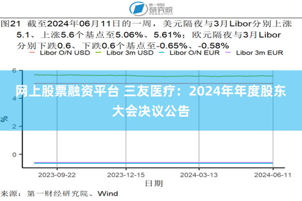 网上股票融资平台 三友医疗：2024年年度股东大会决议公告