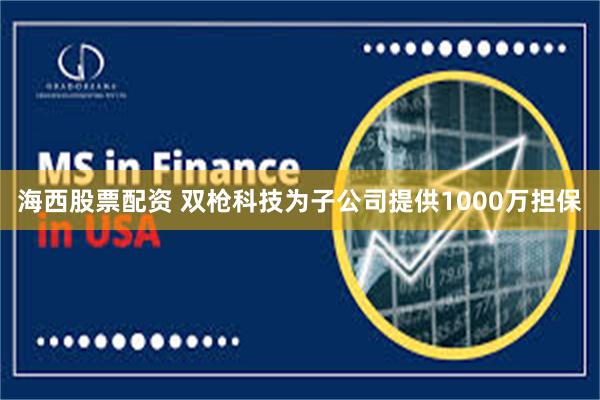 海西股票配资 双枪科技为子公司提供1000万担保