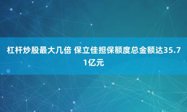 杠杆炒股最大几倍 保立佳担保额度总金额达35.71亿元
