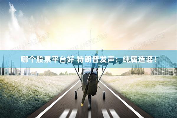 哪个股票平台好 特朗普发声：纯属造谣！