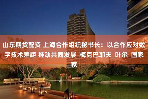 山东期货配资 上海合作组织秘书长：以合作应对数字技术差距 推动共同发展_梅克巴耶夫_叶尔_国家