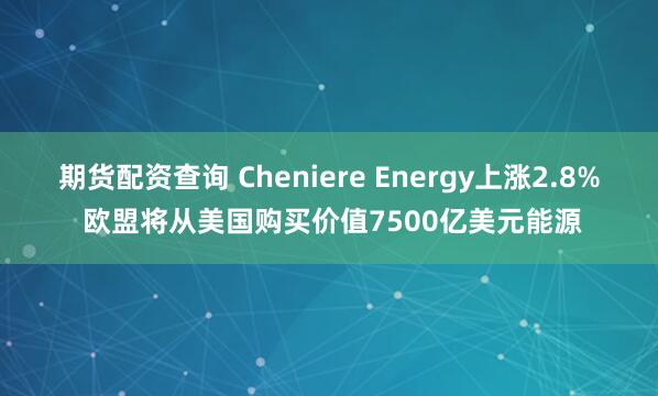 期货配资查询 Cheniere Energy上涨2.8% 欧盟将从美国购买价值7500亿美元能源