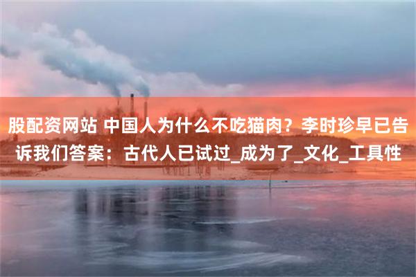 股配资网站 中国人为什么不吃猫肉？李时珍早已告诉我们答案：古代人已试过_成为了_文化_工具性