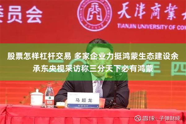 股票怎样杠杆交易 多家企业力挺鸿蒙生态建设余承东央视采访称三分天下必有鸿蒙